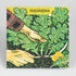 Fresh Wasabina wasabi greens vegetable by Hudson Valley Seed Co. with vibrant green leaves and leafy vegetable texture.