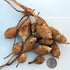 White Fuseau Sunchoke vegetable from Hudson Valley Seed Co., showing fresh, knobby white tubers on a rustic background.