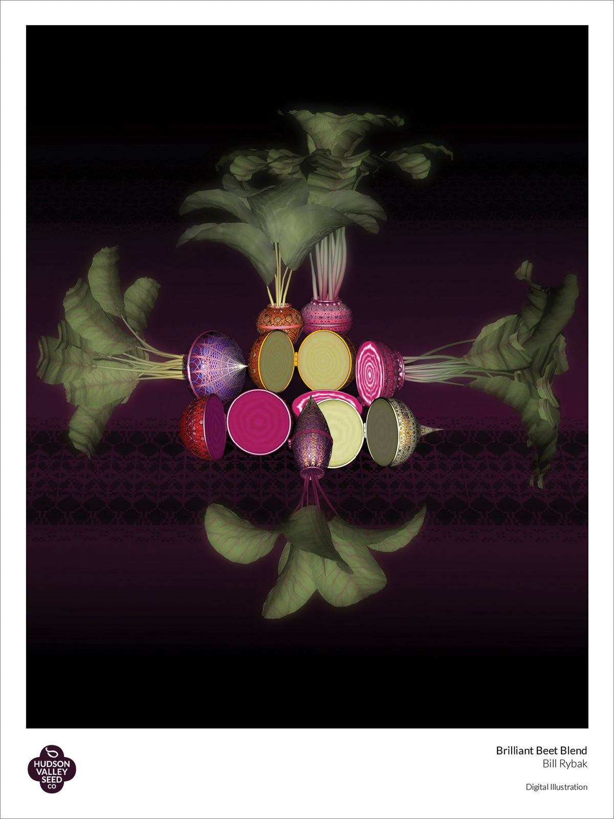 Bright, colorful brilliant beet art poster from Hudson Valley Seed Co., showcasing vibrant beet illustrations on fine art paper.