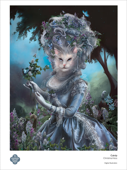 Fine art poster featuring catnip illustrations by Hudson Valley Seed Co., showcasing detailed botanical artwork.