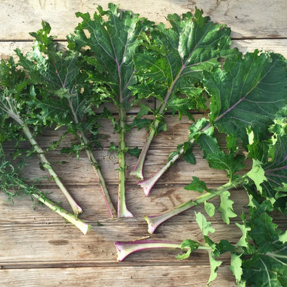 An array of kale shapes present in Gulag Stars!