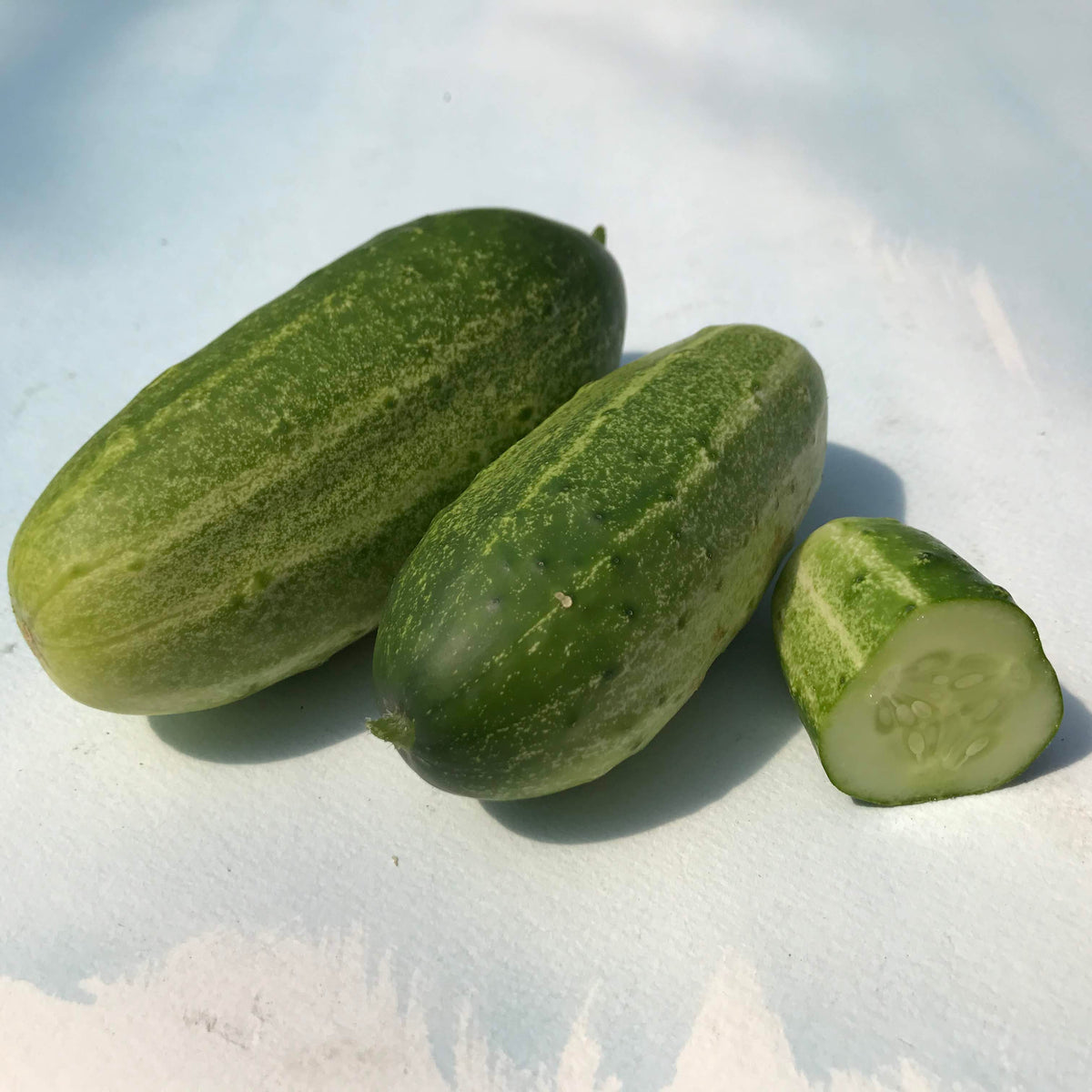 Fresh homemade pickles made from cucumber seedlings, showcasing vibrant green cucumbers and pickling spices in a jar.