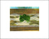 Fine art print of Mache by Hudson Valley Seed Co., signed and framed, showcasing intricate botanical illustrations.