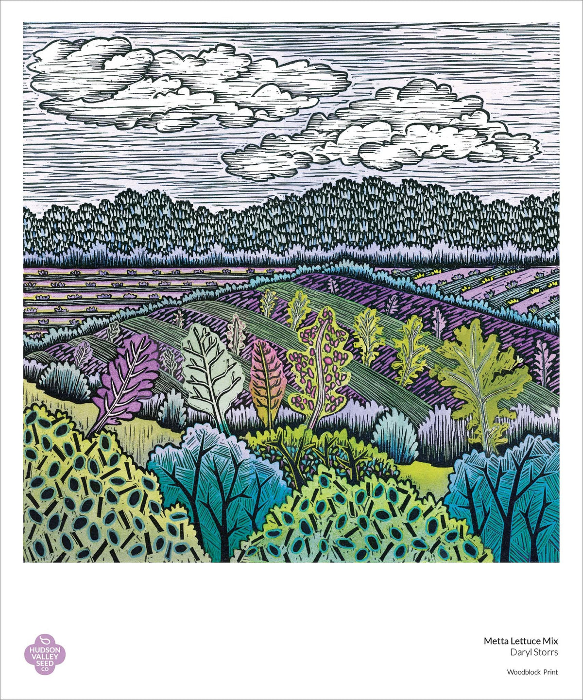 Close-up of the Metta Lettuce Mix Fine Art Poster by Hudson Valley Seed Co. showcasing detailed botanical illustration of lettuce leaves.