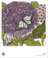 Close-up of a Milkweed Fine Art Poster by Hudson Valley Seed Co. showcasing detailed botanical illustration of milkweed plant.