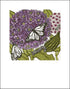Signed Milkweed art print by Hudson Valley Seed Co. featuring detailed botanical illustration in a sleek frame.
