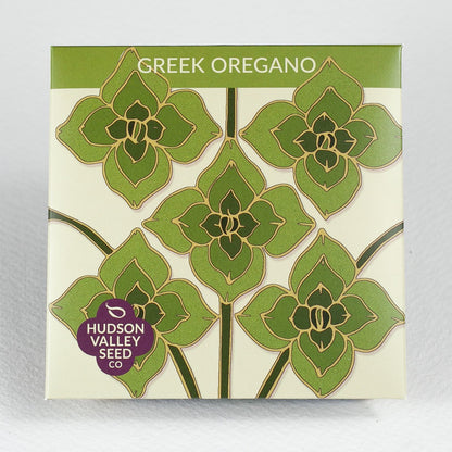Organic Greek oregano seedlings from Hudson Valley Seed Co., fresh herb plants ready for planting in your garden.