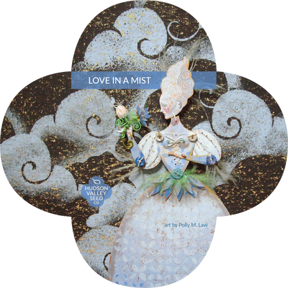 Love in a Mist flower seedlings from Hudson Valley Seed Co., vibrant blue and purple blooms with feathery foliage.