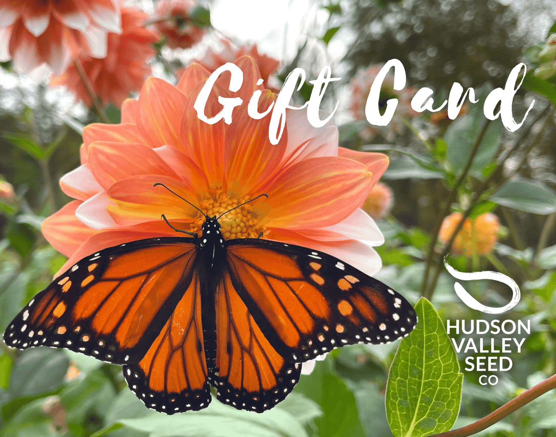 Digital gift card from Hudson Valley Seed Co. featuring vibrant seed packet designs on a clean background.